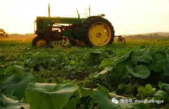 微信圖片_20180615173855.jpg 微信圖片_20180615173855.jpg