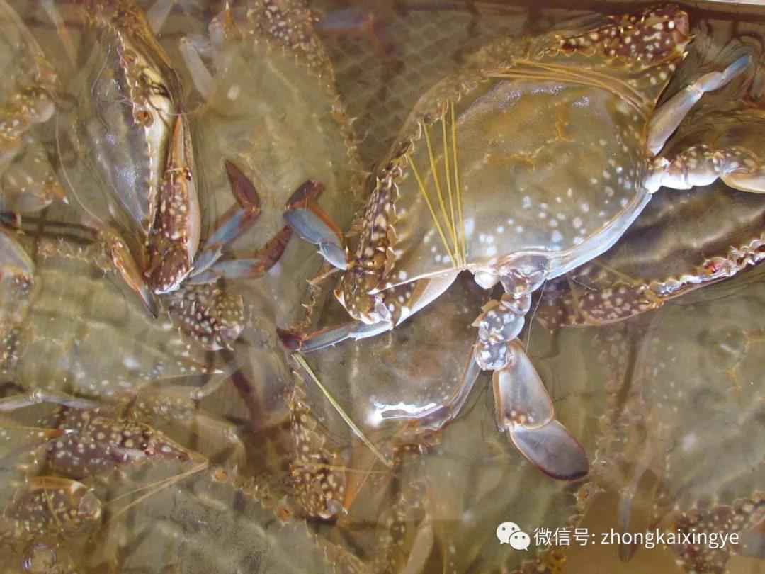 微信圖片_20180615174229.jpg 微信圖片_20180615174229.jpg