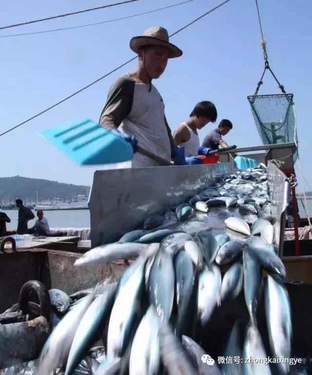 微信圖片_20180615174245.jpg 微信圖片_20180615174245.jpg