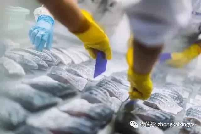 微信圖片_20180615174249.jpg 微信圖片_20180615174249.jpg