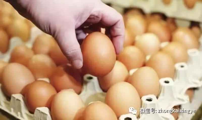 微信圖片_20180622170751.jpg 微信圖片_20180622170751.jpg