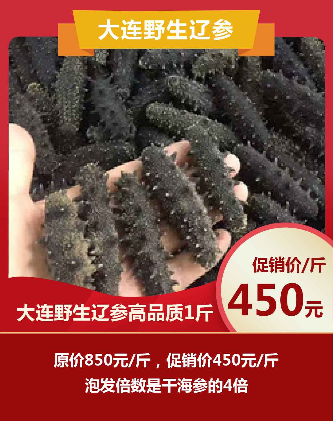 海參優惠圖-11.jpg 海參優惠圖-11.jpg